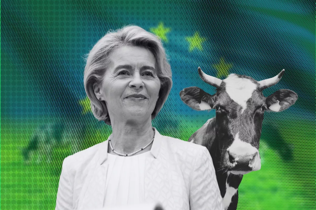l’UE va appliquer l’accord Mercosur de libre-échange de façon « provisoire », annonce Ursula von der Leyen.