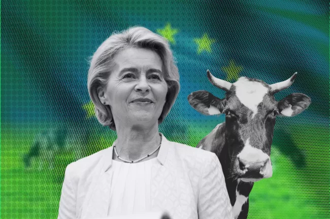 l’UE va appliquer l’accord Mercosur de libre-échange de façon « provisoire », annonce Ursula von der Leyen.