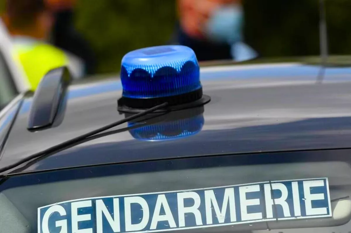Traque nocturne : un agriculteur et les gendarmes stoppent un pillage de CBD à Lamagistère.